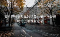 蜜桃视频完整体验记录：第一次使用时的上手难度记录