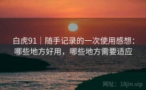 白虎91｜随手记录的一次使用感想：哪些地方好用，哪些地方需要适应