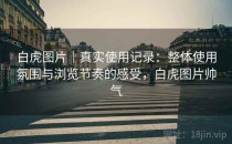 白虎图片｜真实使用记录：整体使用氛围与浏览节奏的感受，白虎图片帅气