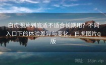 白虎图片到底适不适合长期用？不同入口下的体验差异与变化，白虎图片q版
