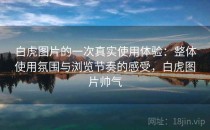白虎图片的一次真实使用体验：整体使用氛围与浏览节奏的感受，白虎图片帅气