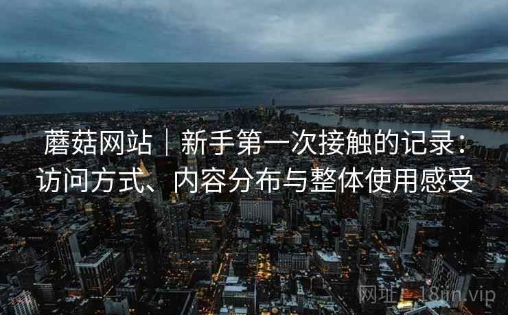 蘑菇网站｜新手第一次接触的记录：访问方式、内容分布与整体使用感受  第1张