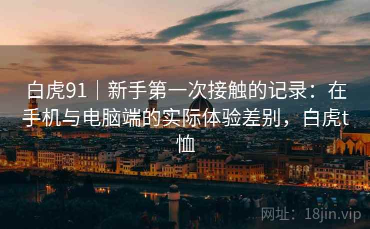 白虎91｜新手第一次接触的记录：在手机与电脑端的实际体验差别，白虎t恤  第2张