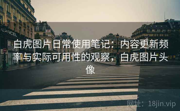 白虎图片日常使用笔记：内容更新频率与实际可用性的观察，白虎图片头像  第1张