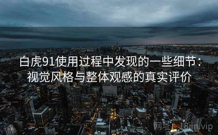 白虎91使用过程中发现的一些细节：视觉风格与整体观感的真实评价  第2张
