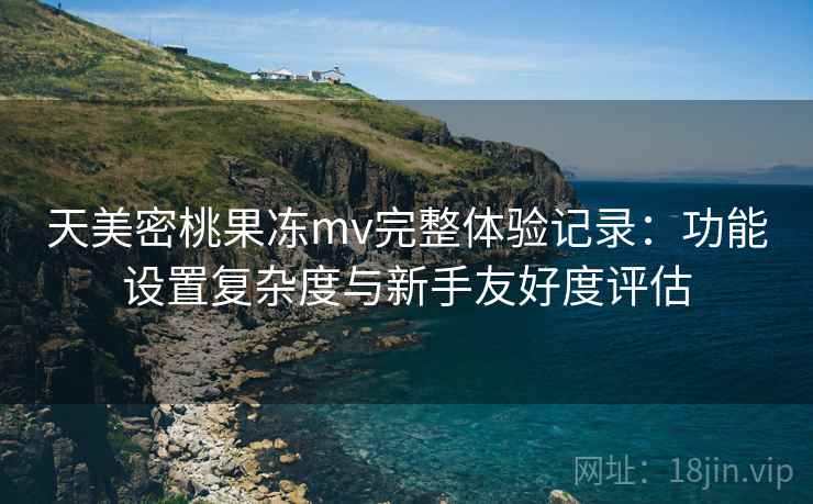 天美密桃果冻mv完整体验记录：功能设置复杂度与新手友好度评估  第2张
