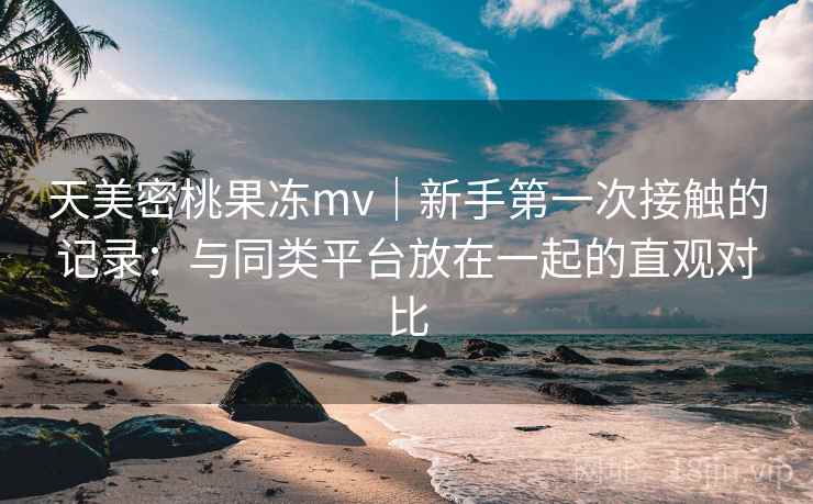 天美密桃果冻mv｜新手第一次接触的记录：与同类平台放在一起的直观对比  第2张