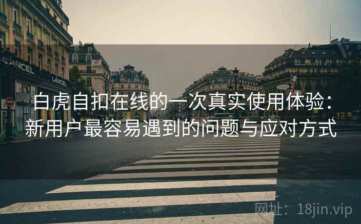 白虎自扣在线的一次真实使用体验:新用户最容易遇到的问题与应对方式 第1张 白虎自扣在线的一次真实使用体验:新用户最容易遇到的问题与应对方式 第1张