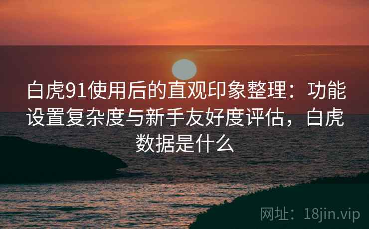 白虎91使用后的直观印象整理:功能设置复杂度与新手友好度评估,白虎数据是什么 第2张 白虎91使用后的直观印象整理:功能设置复杂度与新手友好度评估,白虎数据是什么 第2张