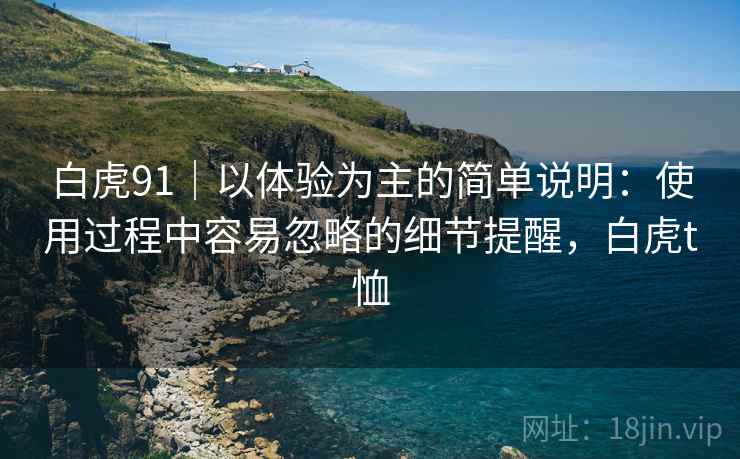 白虎91|以体验为主的简单说明:使用过程中容易忽略的细节提醒,白虎t恤 第1张 白虎91|以体验为主的简单说明:使用过程中容易忽略的细节提醒,白虎t恤 第1张