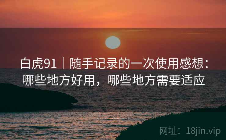 白虎91｜随手记录的一次使用感想：哪些地方好用，哪些地方需要适应  第1张