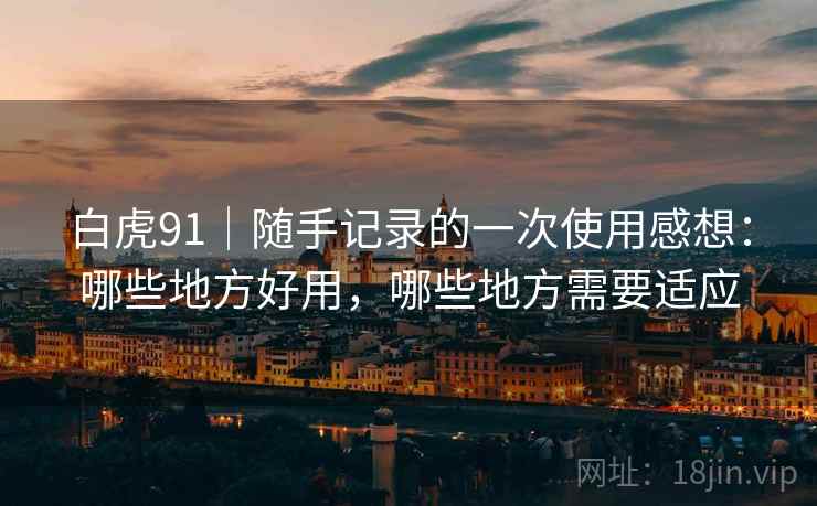 白虎91｜随手记录的一次使用感想：哪些地方好用，哪些地方需要适应  第2张