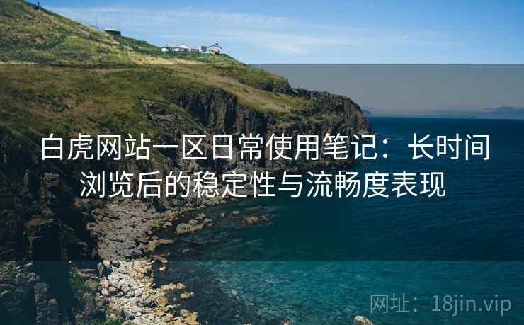 白虎网站一区日常使用笔记：长时间浏览后的稳定性与流畅度表现  第1张