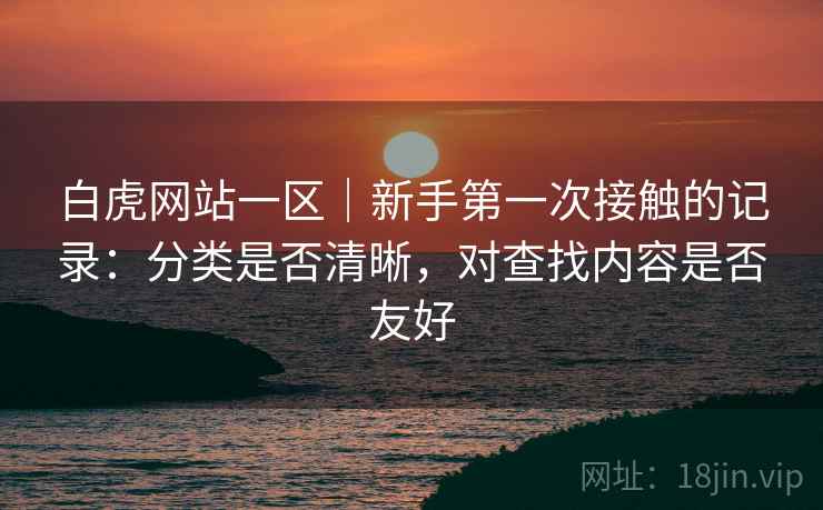 白虎网站一区｜新手第一次接触的记录：分类是否清晰，对查找内容是否友好  第2张