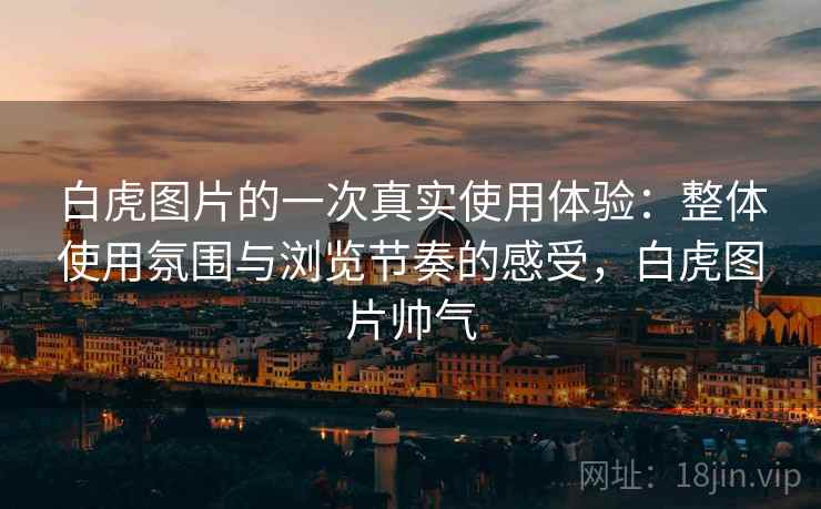 白虎图片的一次真实使用体验：整体使用氛围与浏览节奏的感受，白虎图片帅气  第2张